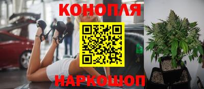 винт Кимры