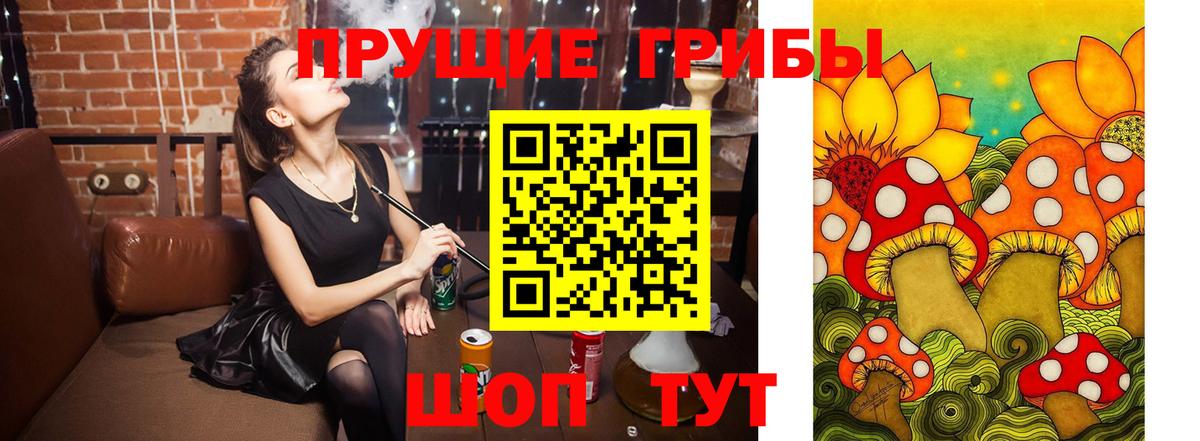Галлюциногенные грибы прущие грибы  Галлюциногенные грибы Psilocybe  Качканар  Вход с VPN 